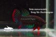 画像4: ベタ・シャムオリエンタリス (Betta siamorientalis) "Bang Kla,Chachoengsao" WC pr (4)