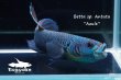 画像2: ベタ sp. Antuta "Azule" WC pr 【個体指定No.57】 (2)
